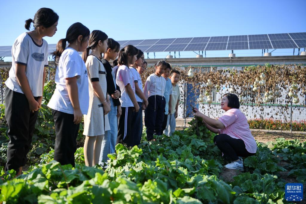 波克捕鱼国际版如何